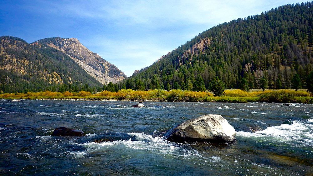 Madison River