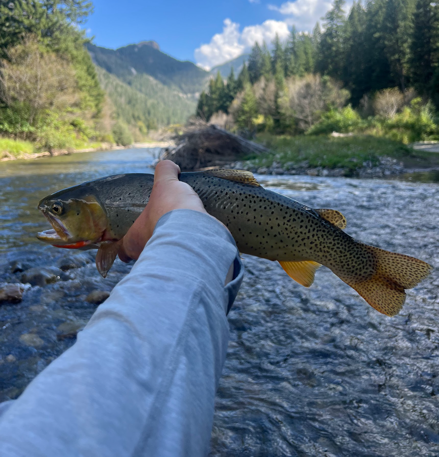 Fall Angler Perspective