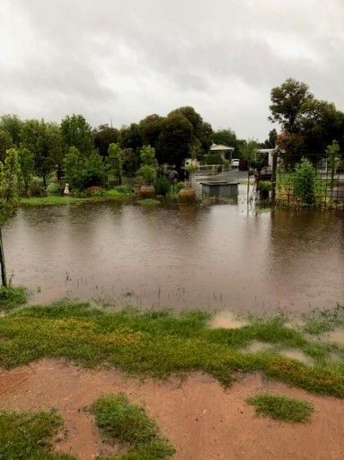 A flooded area with a lot of water and trees in the background.