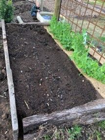 A child is playing in a garden filled with dirt and plants.