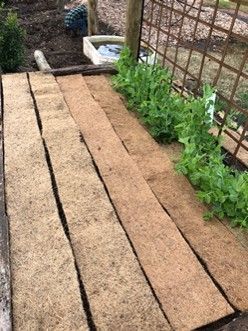A wooden bench with plants growing on it in a garden.