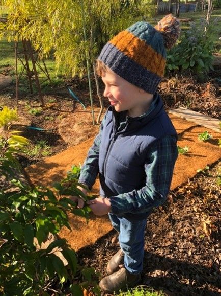 A young boy wearing a striped hat is standing in a garden looking at a plant.