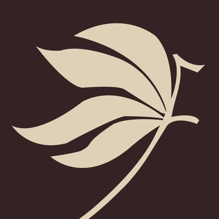 A leaf that looks like a bird on a brown background