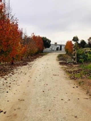 A dirt road with trees on both sides and a house in the background