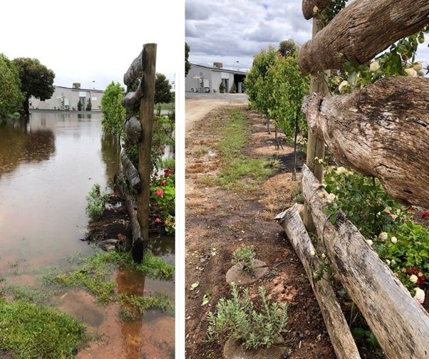 Two pictures of a flooded area and a wooden fence