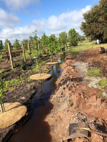 A muddy field with trees and a stream running through it