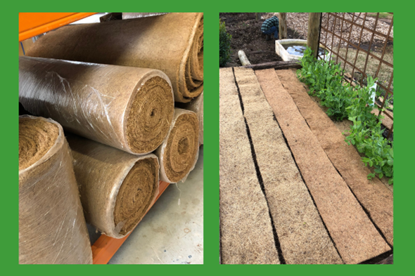 A stack of rolls of carpet next to a row of plants growing on a wooden surface.