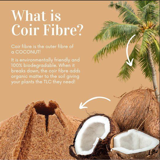 What is coir fibre is the outer fibre of a coconut