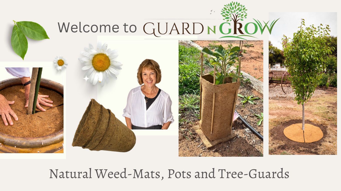 A woman is standing next to a potted plant in a garden.