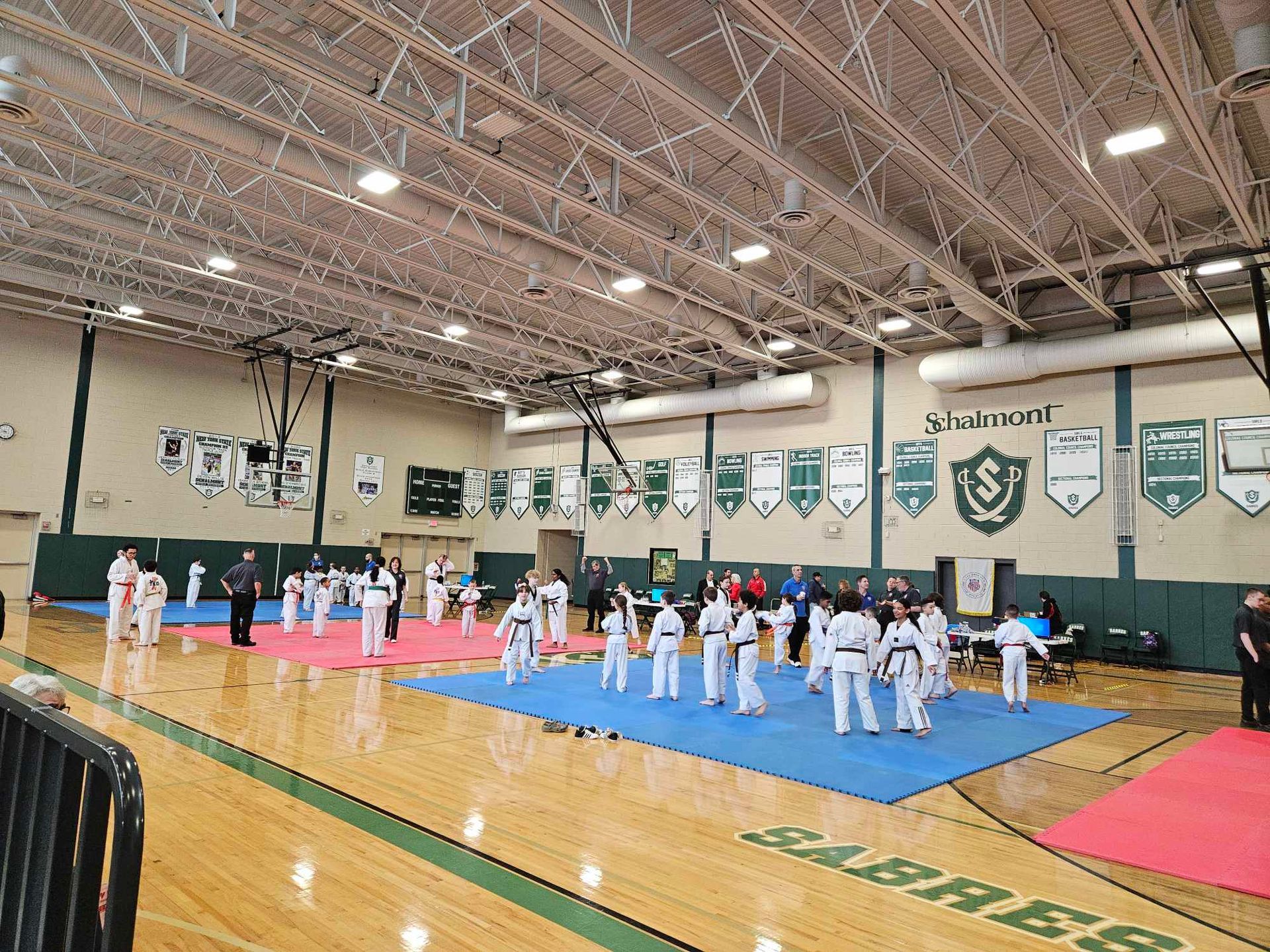 A group of people are practicing martial arts in a gym.