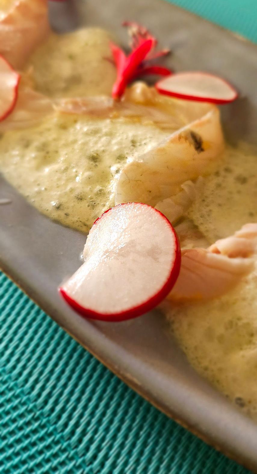 Ceviche van zeebaars en komkommerschuim