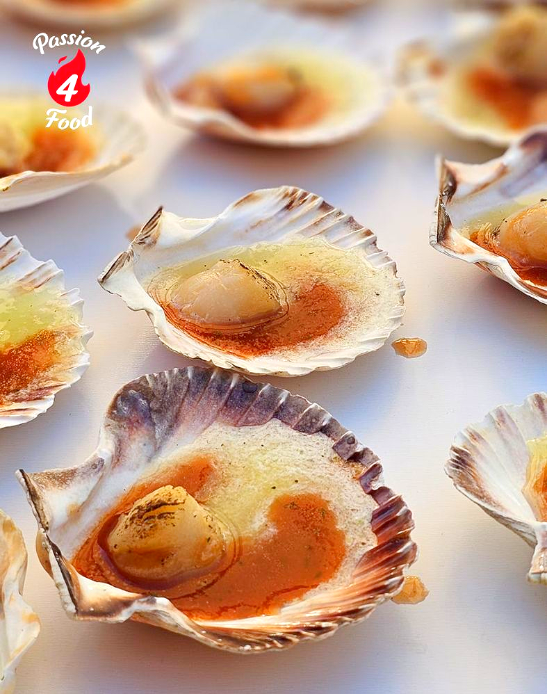 Close-up van sint-jakobsschelpen met saus op een witte achtergrond, geserveerd als voorgerecht met zeevruchten.