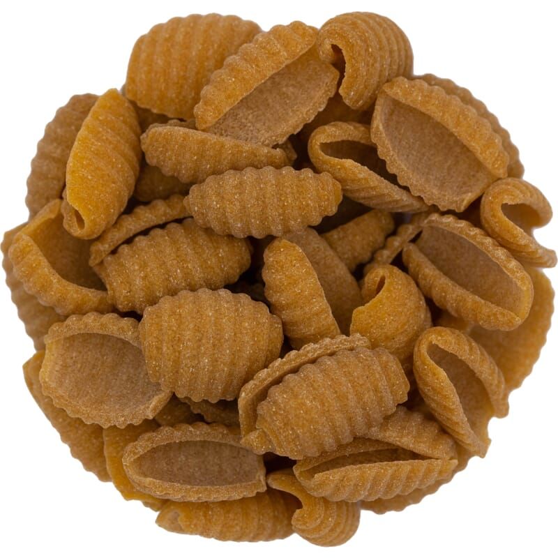 Conchiglie