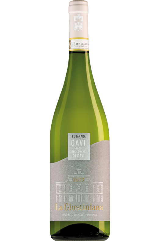 Gavi del Comune di Gavi Lugarara 2025 Gavi del Comune di Gavi Lugarara 2025