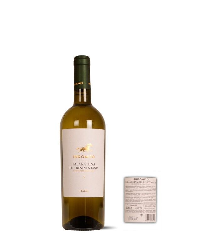 Ghibello Chianti Classico Falanghina Beneventano