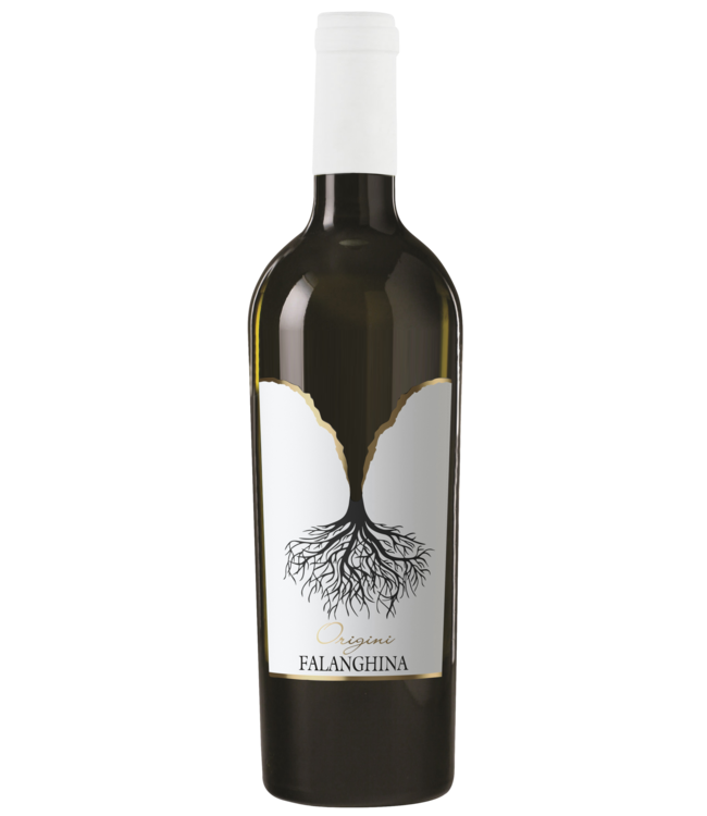 Le Origini Falanghina Campania IGT