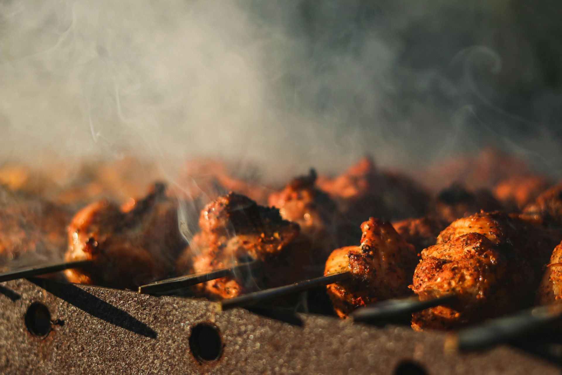 Go nuts ginger chicken skewer