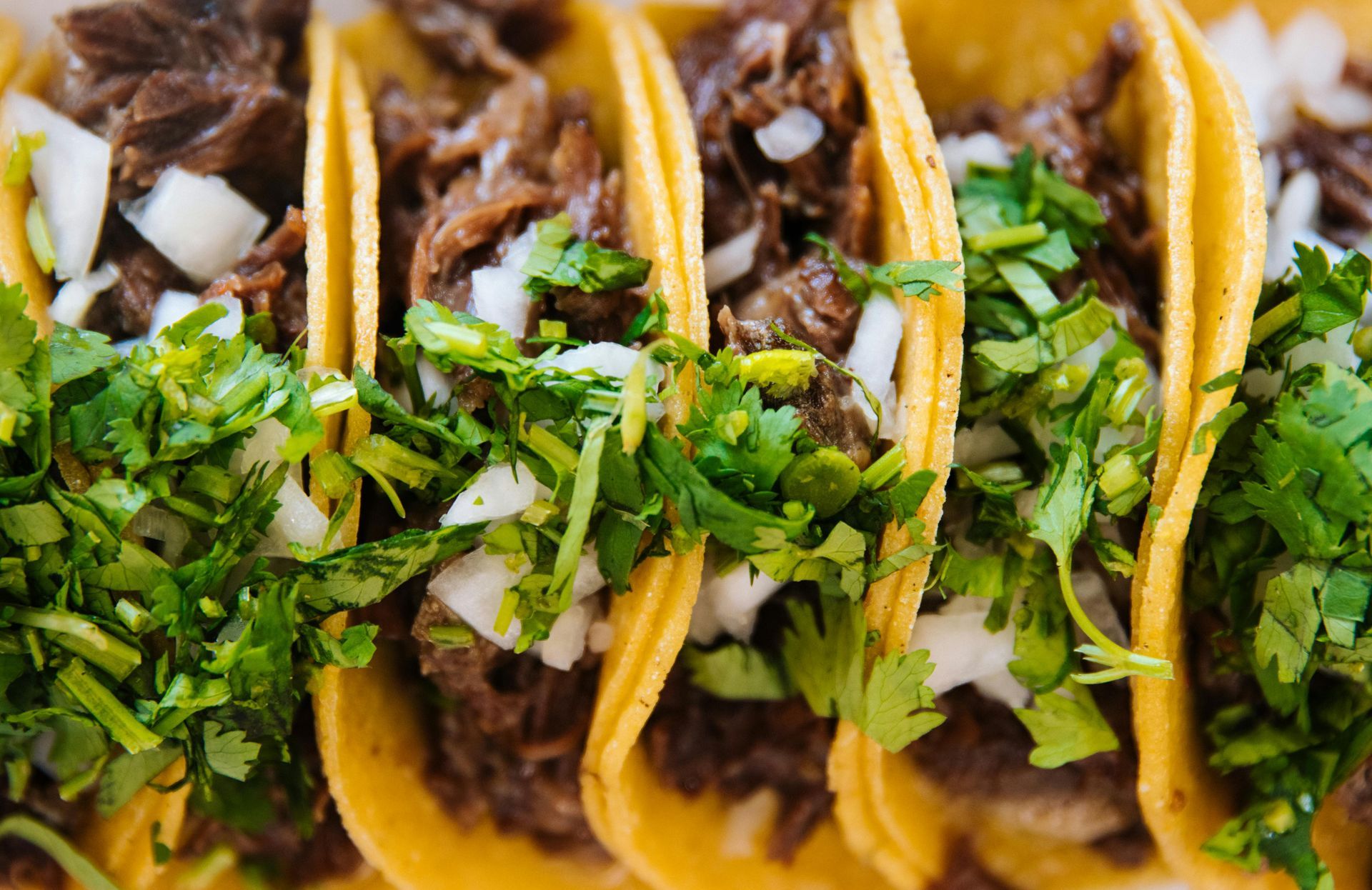 Carnitas Carnitas