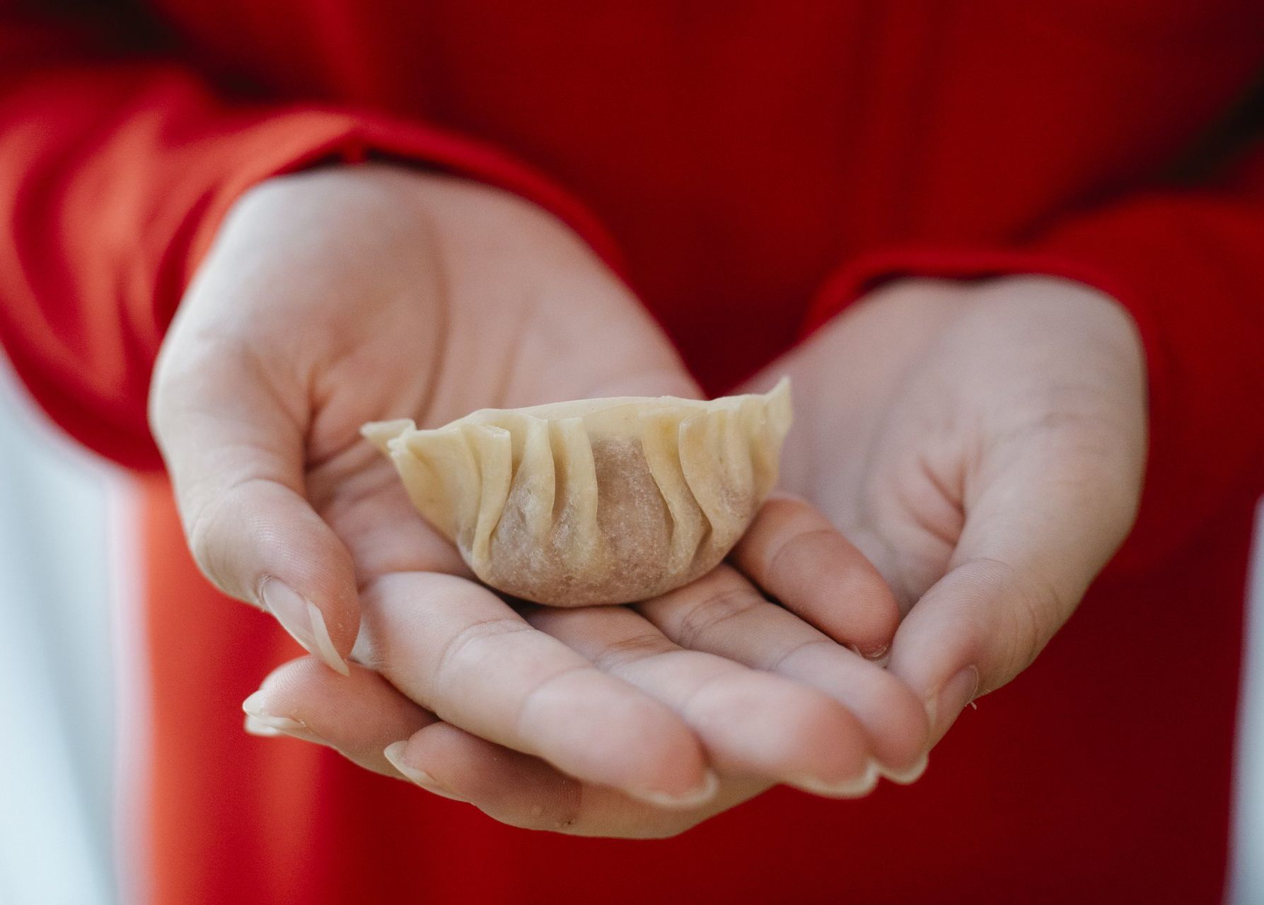 Recept Gyoza maken Recept Gyoza maken