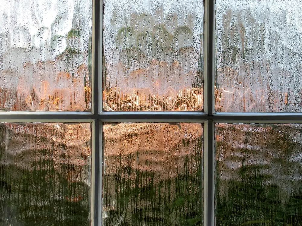Obscured Glass For Bathroom Window — Glass Repair in Gold Coast, QLD