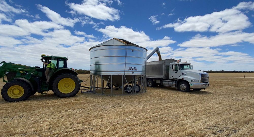 A tractor is loading grain into a truck in a field.
