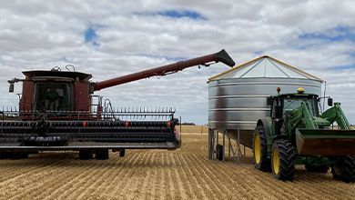 A combine harvester is loading grain into a silo next to a tractor.