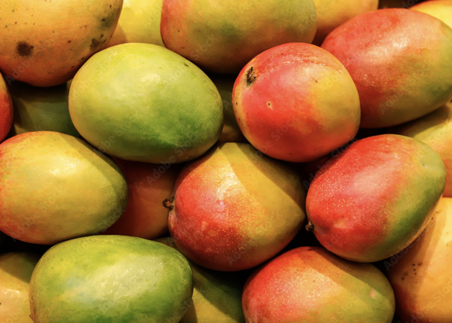 Un montón de mangos están apilados uno encima del otro.