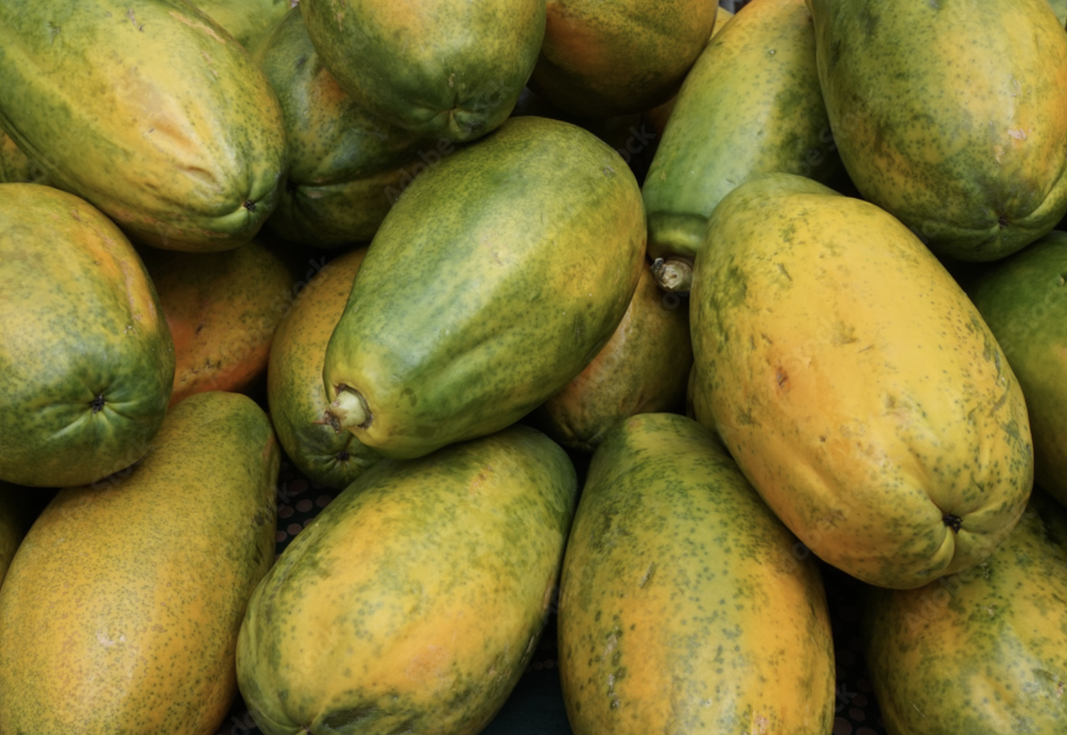 Un montón de papayas están colocadas una encima de otra sobre una mesa.