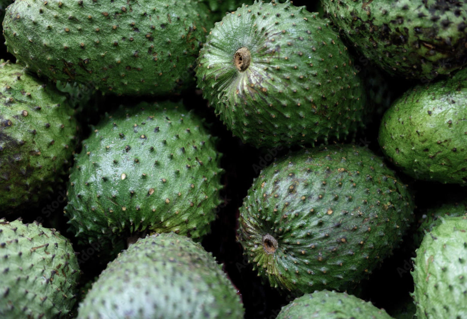 Un montón de aguacates verdes están colocados uno encima del otro sobre una mesa.