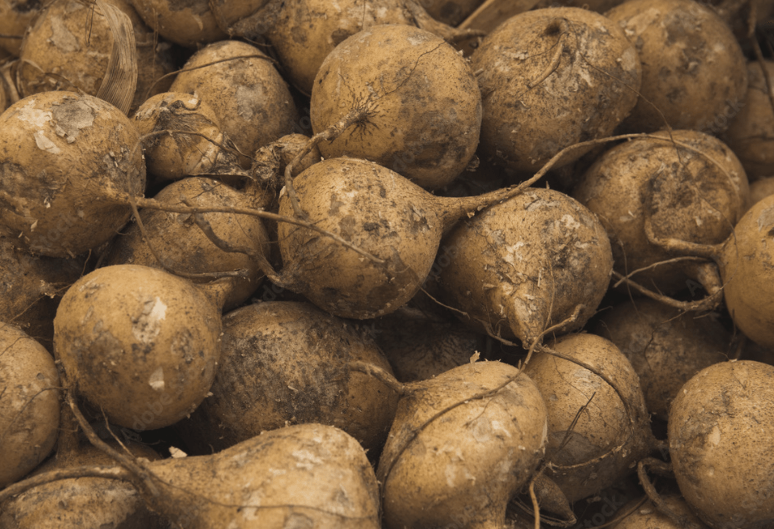 Un montón de patatas están colocadas una encima de otra.
