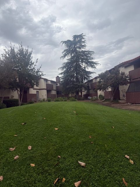 Green lawn in front of apartment buildings under an overcast sky.