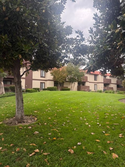 Apartment complex with brown trim and a green lawn surrounded by trees. Overcast day.