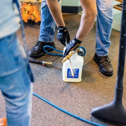 A person is cleaning a carpet with a spray bottle.