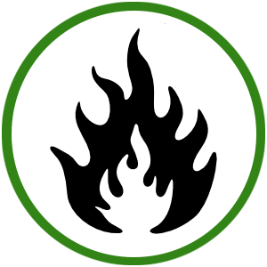 A black flame icon centered within a thick green circle on a white background.