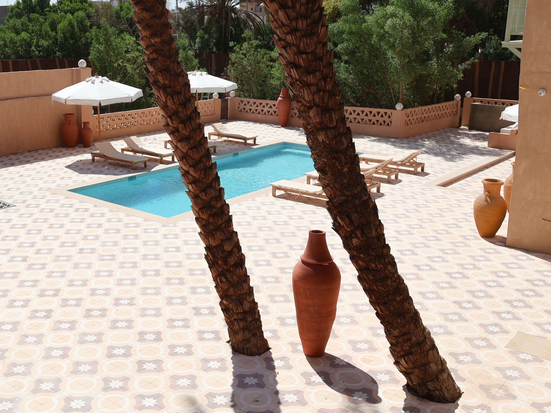 Poolside patio with pool, lounge chairs, palm trees, and terracotta pots.