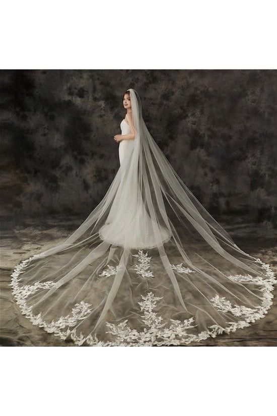Beautiful Lace Cathedral Veil