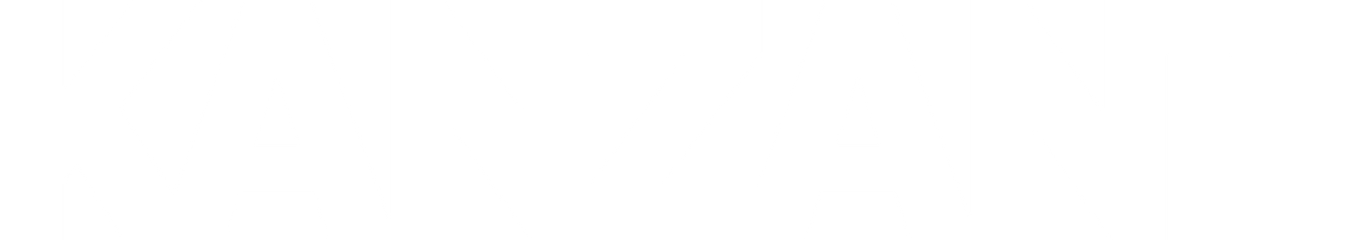 Mostly white horizontal banner with a thin black line near the bottom and a pale gray strip in the center