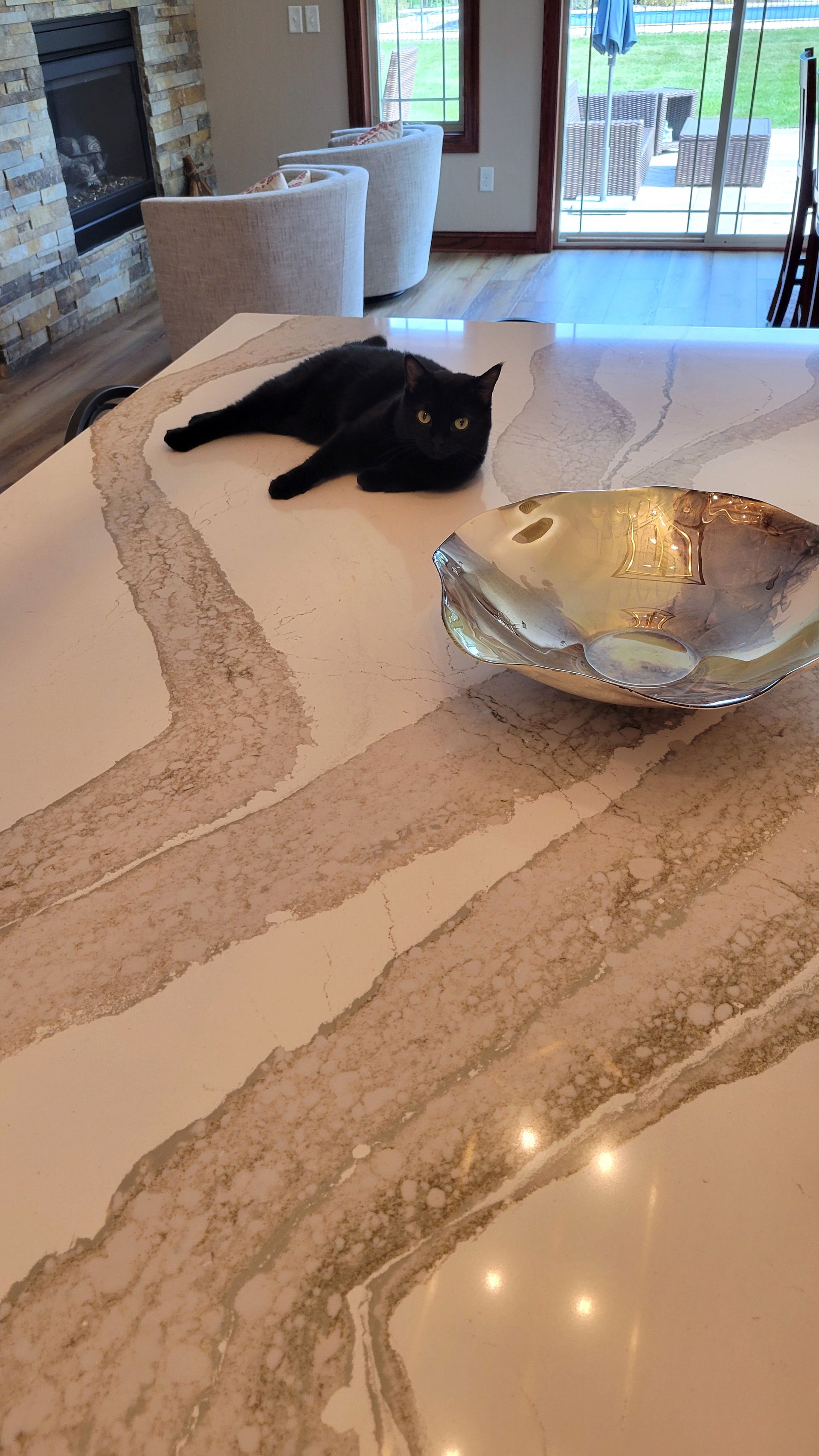 Black cat lounging on a marble kitchen island beside a silver bowl, with a bright living room in the background