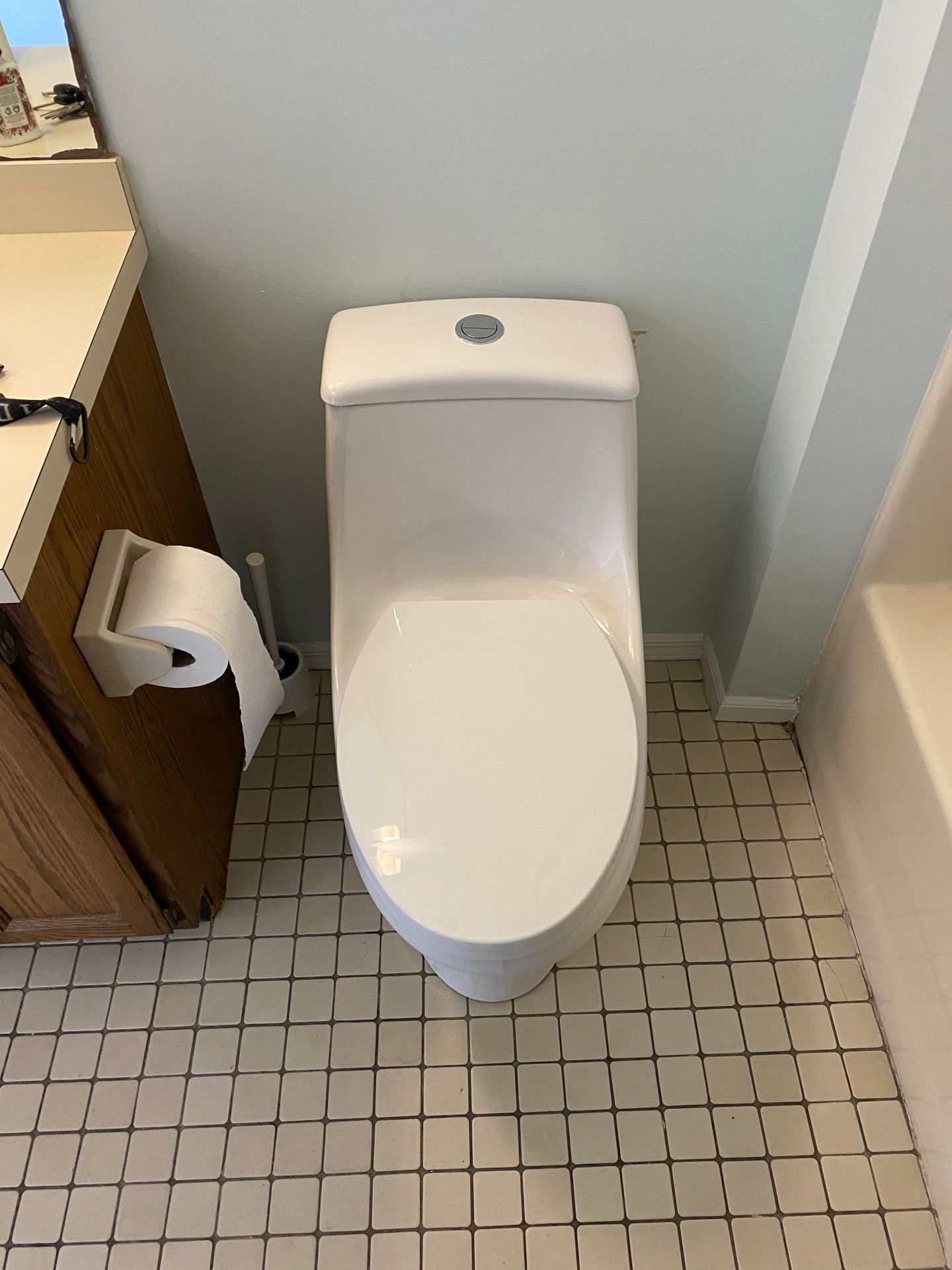 White toilet in a bathroom, toilet paper dispenser on the wall to the left. The walls are light blue.