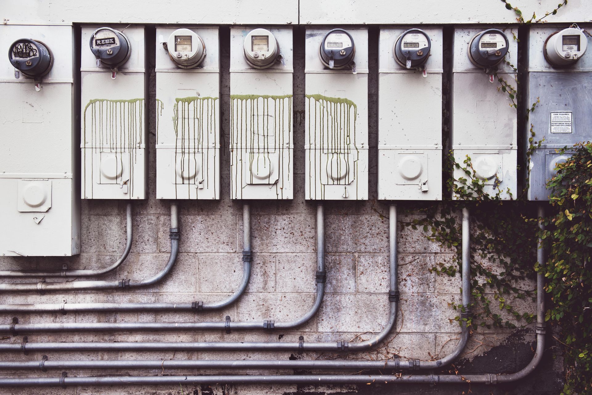 Electrical meters and conduits on a concrete wall, with green paint drips and ivy.