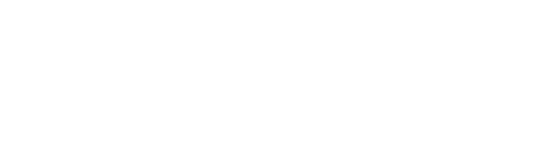 Designer Window Fashions Logo