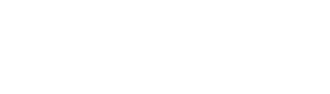 Designer Window Fashions Logo