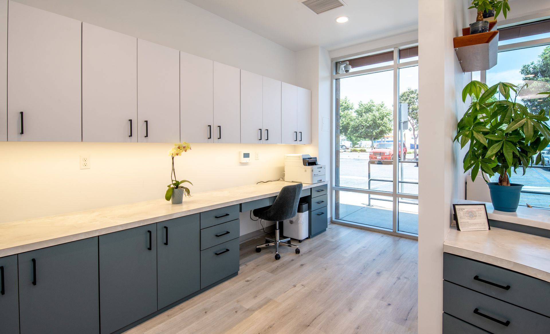 Modern dental office with cabinets, desk, window, plants, and light wood flooring.
