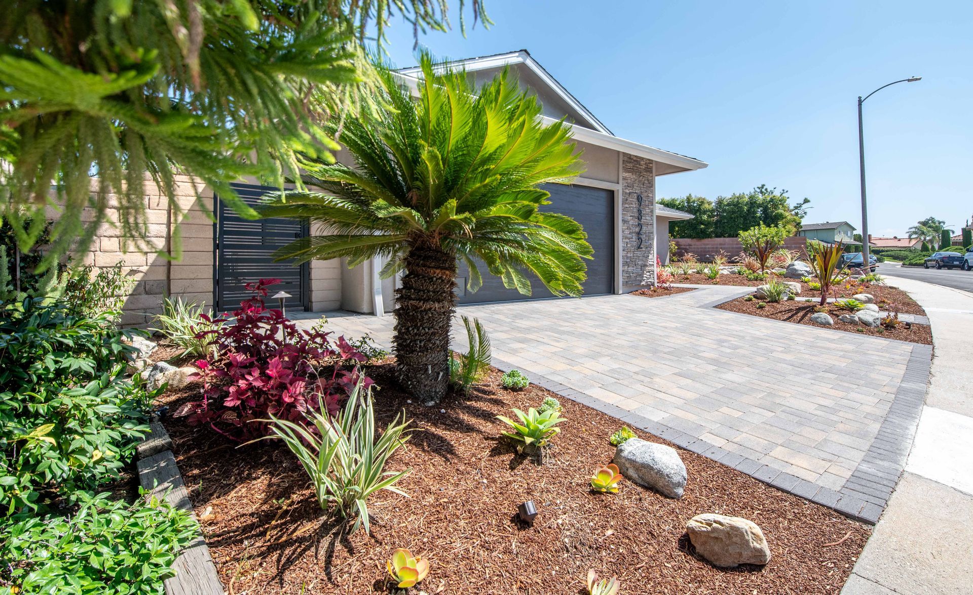 A house with a paved driveway and landscaped yard, including a palm tree and colorful plants.