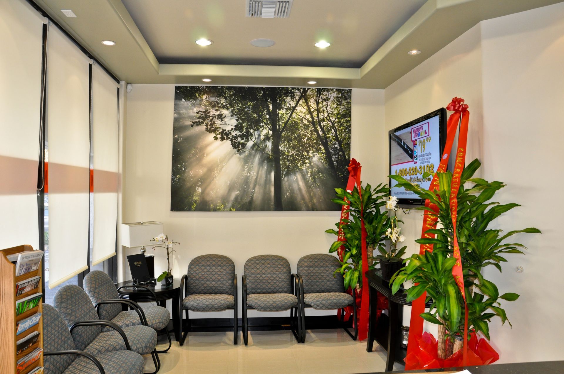 A waiting room with chairs, plants, a TV, and a landscape photo.