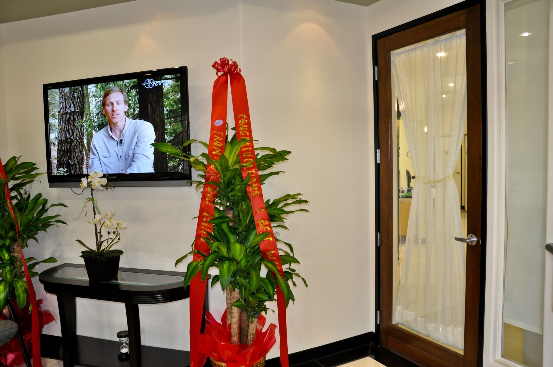 Room with TV, plant, and door. Plant has red ribbons. Door has a sheer curtain.