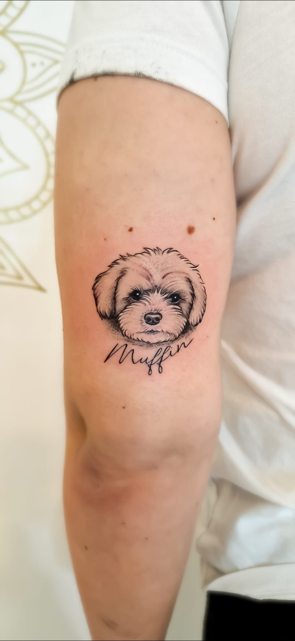 Tatuaggio sulla schiena raffigurante una creatura simile a un drago arrotolato, di fronte a un piccolo animale su una linea simile a un ramo.