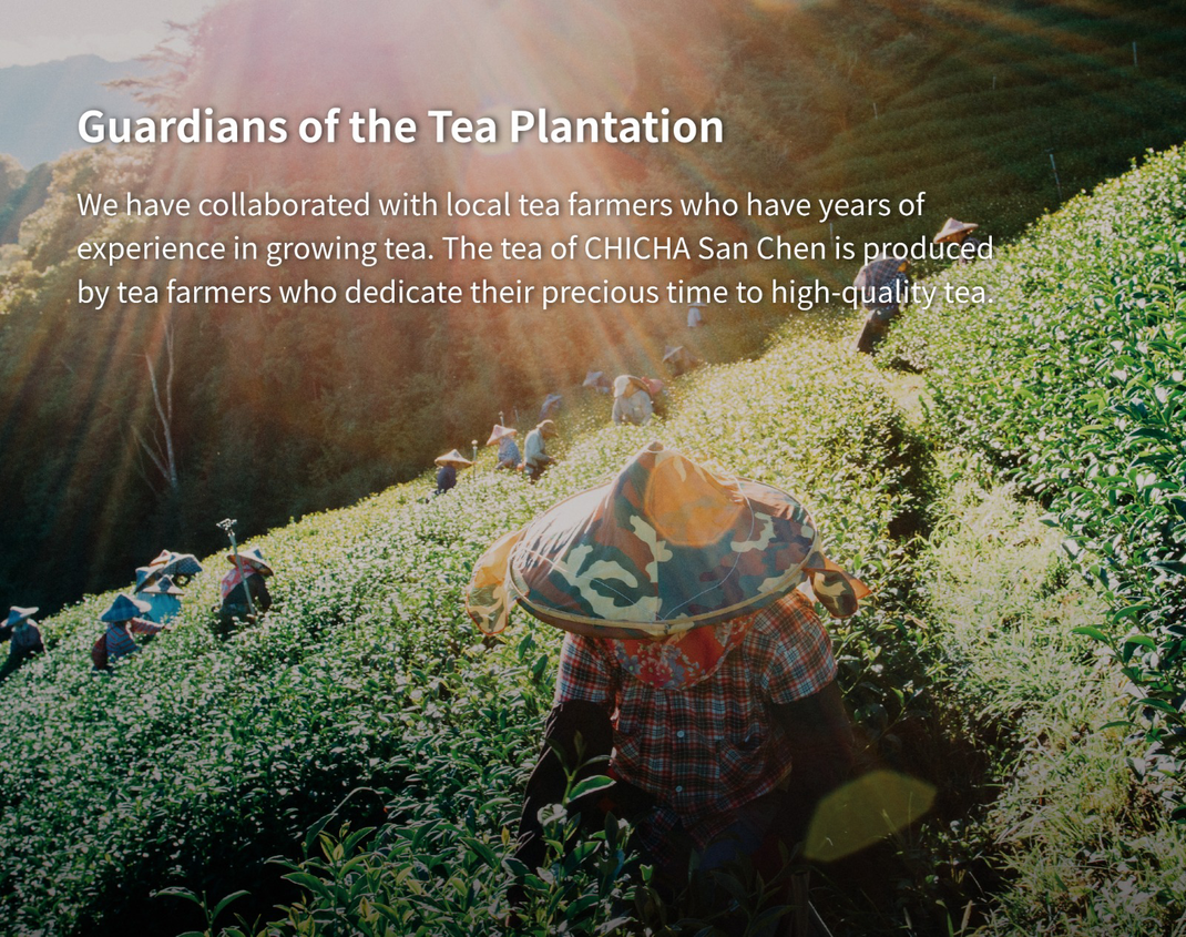 Tea plantation workers carrying baskets on a lush hillside at sunrise, with sun rays over green rows