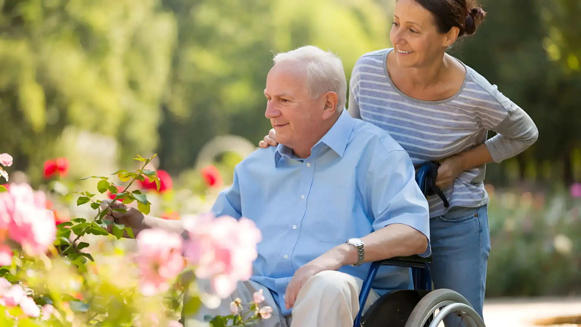 independent vs assisted living homes