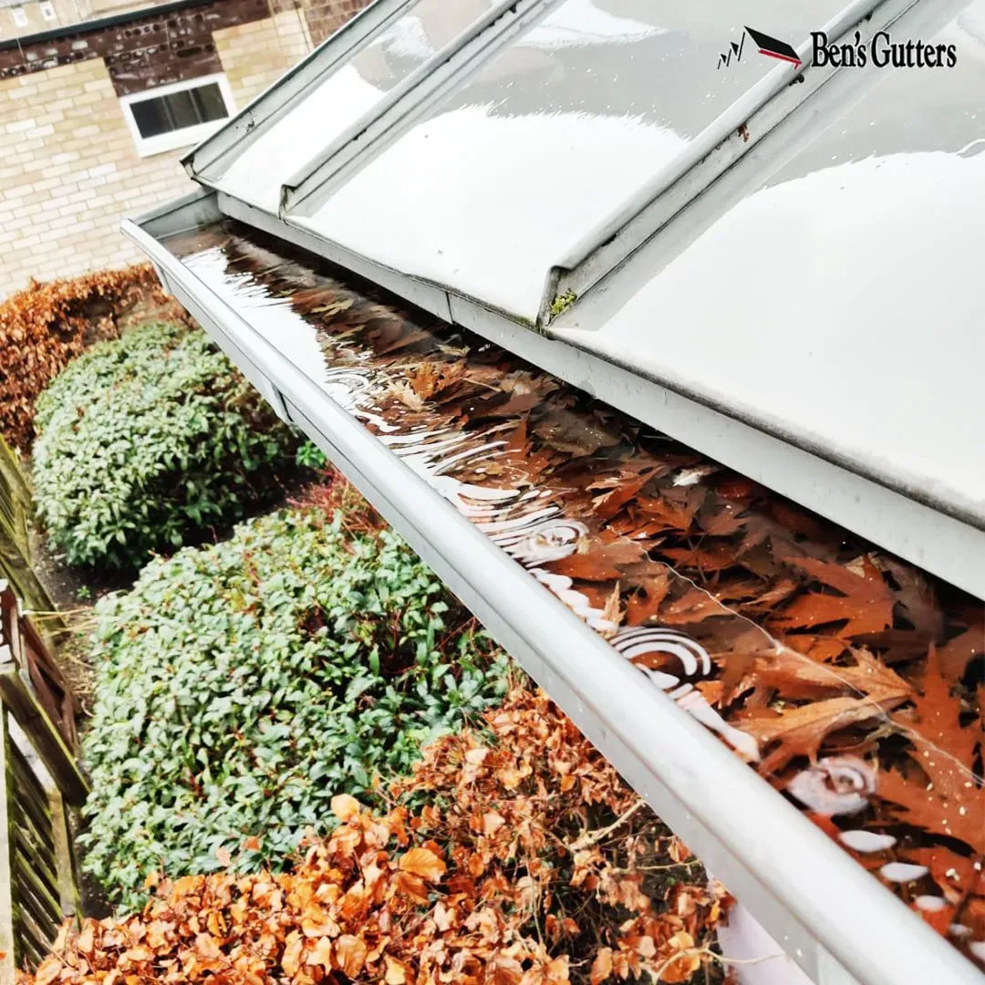 Gutter overflowing with water and fallen leaves; view from above.